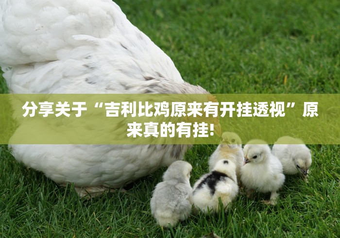 分享关于“吉利比鸡原来有开挂透视”原来真的有挂! 分享关于“吉利比鸡原来有开挂透视”原来真的有挂!