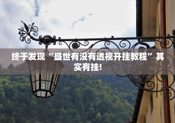 终于发现“盛世有没有透视开挂教程”其实有挂!