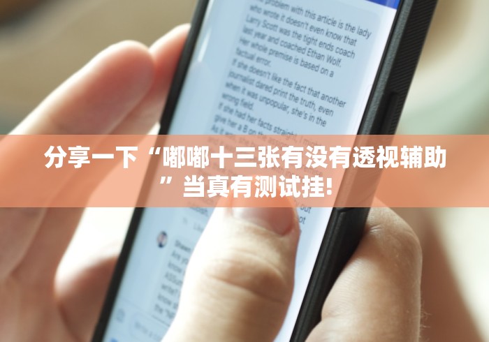 分享一下“嘟嘟十三张有没有透视辅助”当真有测试挂!