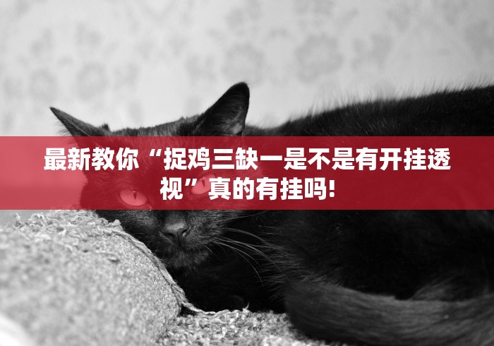 最新教你“捉鸡三缺一是不是有开挂透视”真的有挂吗!