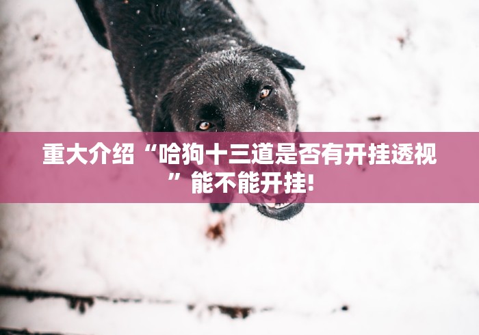 重大介绍“哈狗十三道是否有开挂透视”能不能开挂!