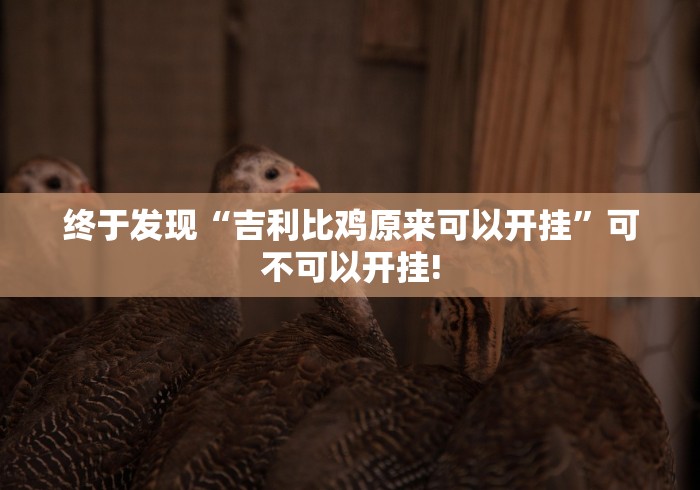 终于发现“吉利比鸡原来可以开挂”可不可以开挂! 终于发现“吉利比鸡原来可以开挂”可不可以开挂!