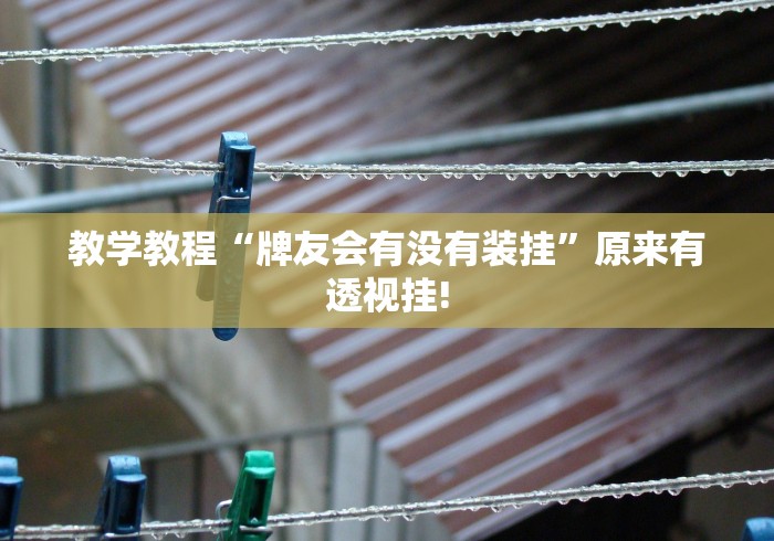教学教程“牌友会有没有装挂”原来有透视挂!