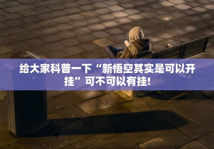 给大家科普一下“新悟空其实是可以开挂”可不可以有挂! 给大家科普一下“新悟空其实是可以开挂”可不可以有挂!