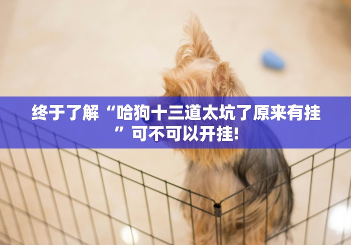 终于了解“哈狗十三道太坑了原来有挂”可不可以开挂! 终于了解“哈狗十三道太坑了原来有挂”可不可以开挂!