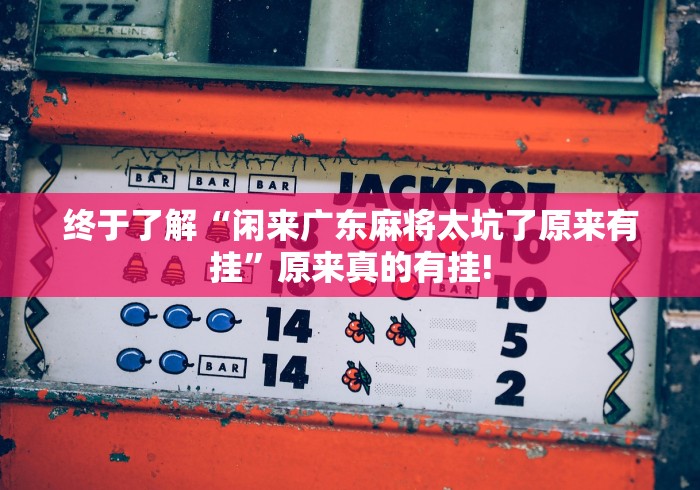 终于了解“闲来广东麻将太坑了原来有挂”原来真的有挂!