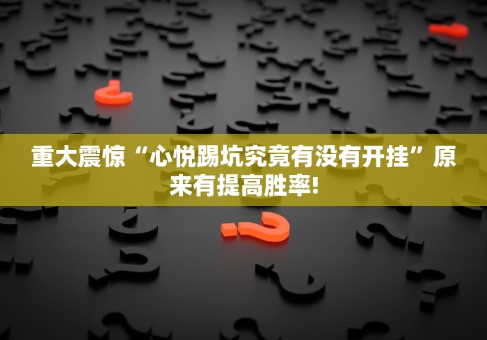 重大震惊“心悦踢坑究竟有没有开挂”原来有提高胜率! 重大震惊“心悦踢坑究竟有没有开挂”原来有提高胜率!