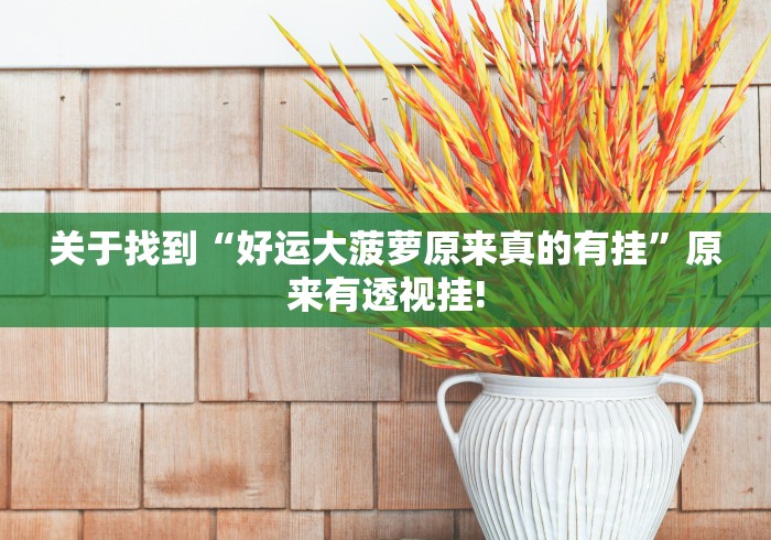 关于找到“好运大菠萝原来真的有挂”原来有透视挂!