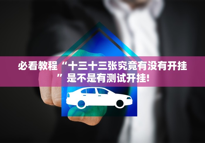 必看教程“十三十三张究竟有没有开挂”是不是有测试开挂!