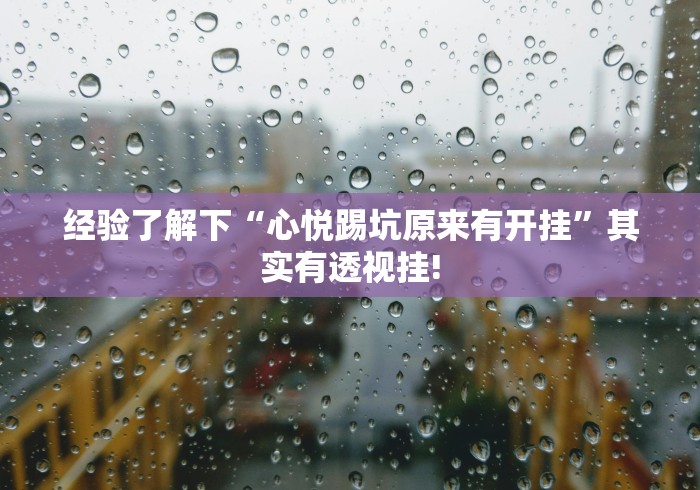 经验了解下“心悦踢坑原来有开挂”其实有透视挂!