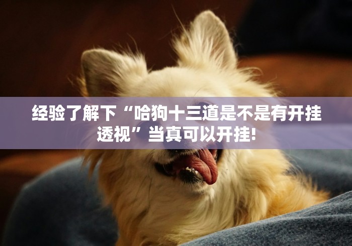 经验了解下“哈狗十三道是不是有开挂透视”当真可以开挂!