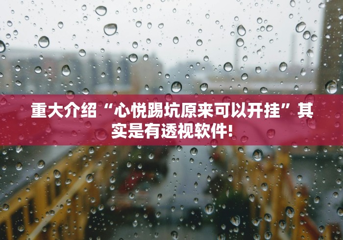重大介绍“心悦踢坑原来可以开挂”其实是有透视软件!