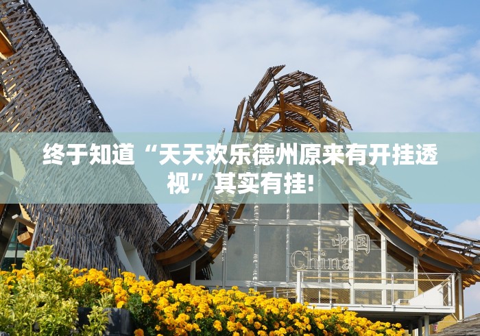 终于知道“天天欢乐德州原来有开挂透视”其实有挂!