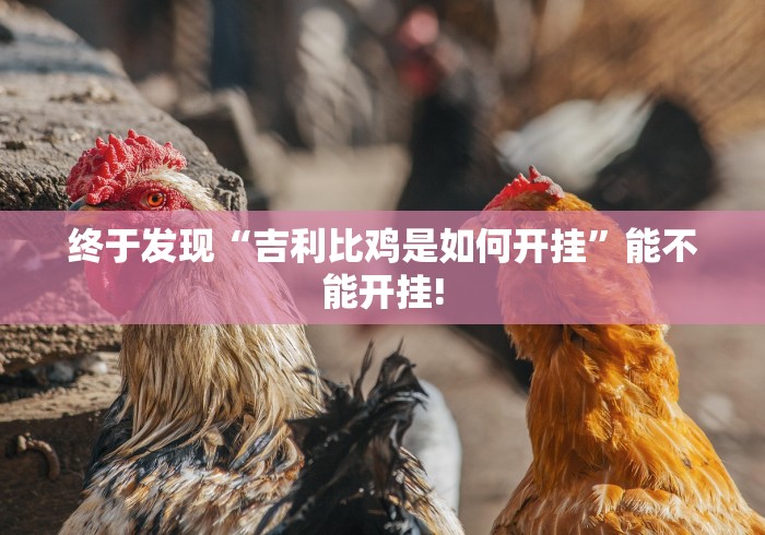 终于发现“吉利比鸡是如何开挂”能不能开挂!