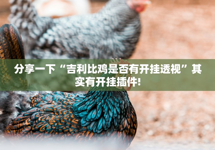 分享一下“吉利比鸡是否有开挂透视”其实有开挂插件!