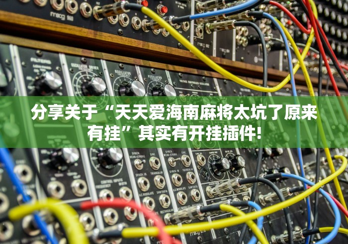 分享关于“天天爱海南麻将太坑了原来有挂”其实有开挂插件!