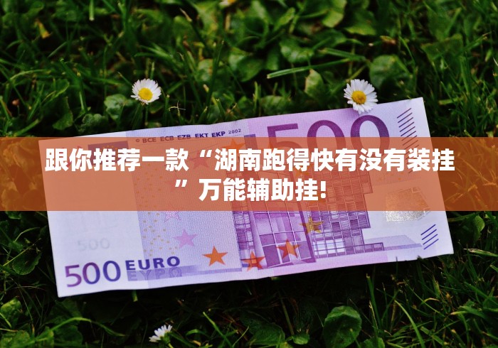 给大家分享“白金岛跑胡子如何分享开挂”当真有测试挂!