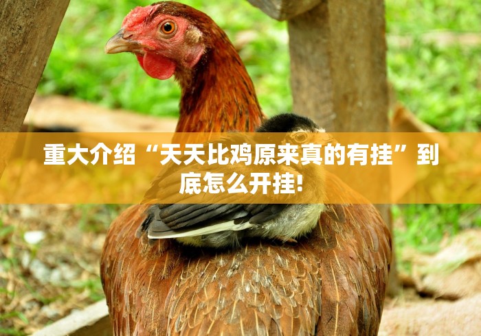 盘点十款“碧海麻将有没有透视辅助”是不是有测试开挂!