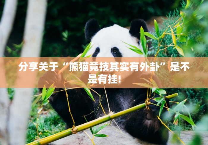 分享关于“熊猫竟技其实有外卦”是不是有挂!