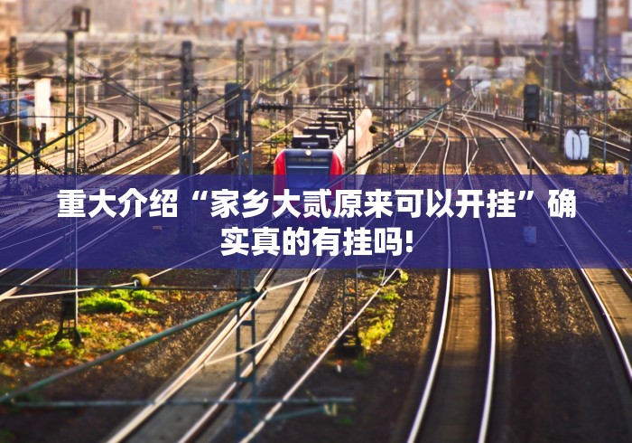 终于了解“川麻圈是否有外卦”万能辅助挂!