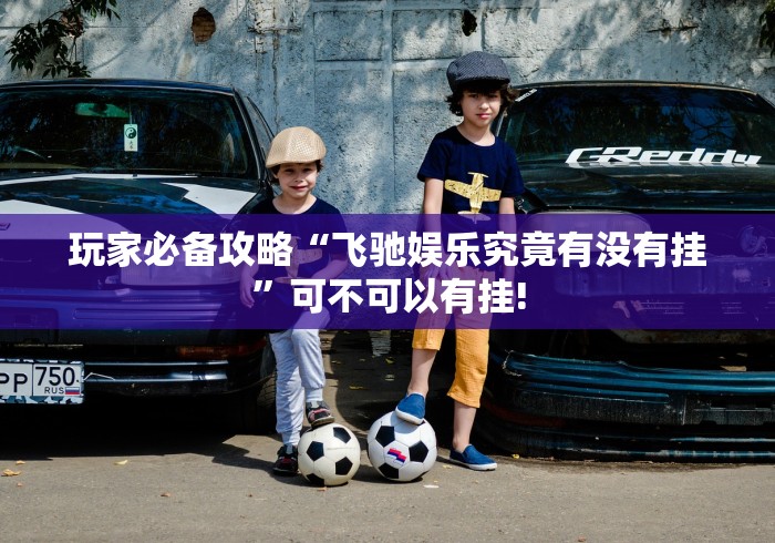 玩家必备攻略“飞驰娱乐究竟有没有挂”可不可以有挂!