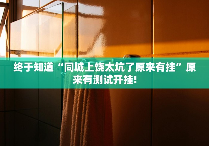 终于知道“同城上饶太坑了原来有挂”原来有测试开挂!