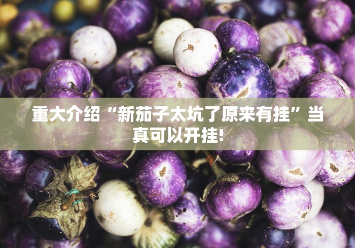 实操教程“丫丫古诗有没有透视开挂教程”当真有测试挂!