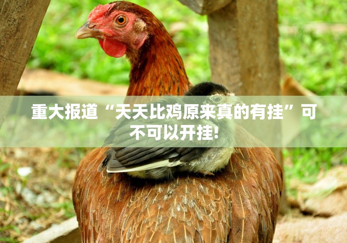 实操教程“微乐捉鸡麻将是不是有透视挂”能不能开挂!