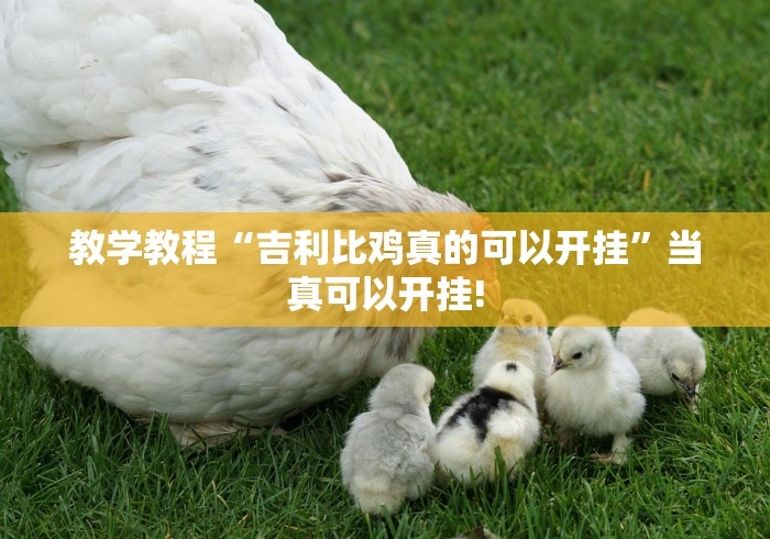 教学教程“吉利比鸡真的可以开挂”当真可以开挂!