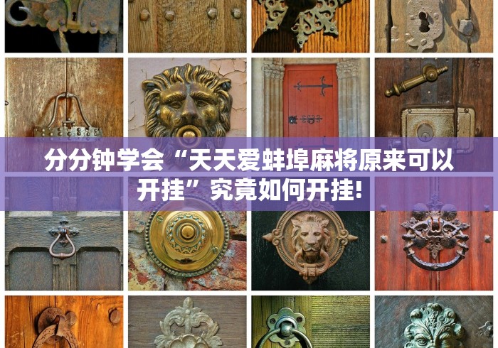 分分钟学会“天天爱蚌埠麻将原来可以开挂”究竟如何开挂!