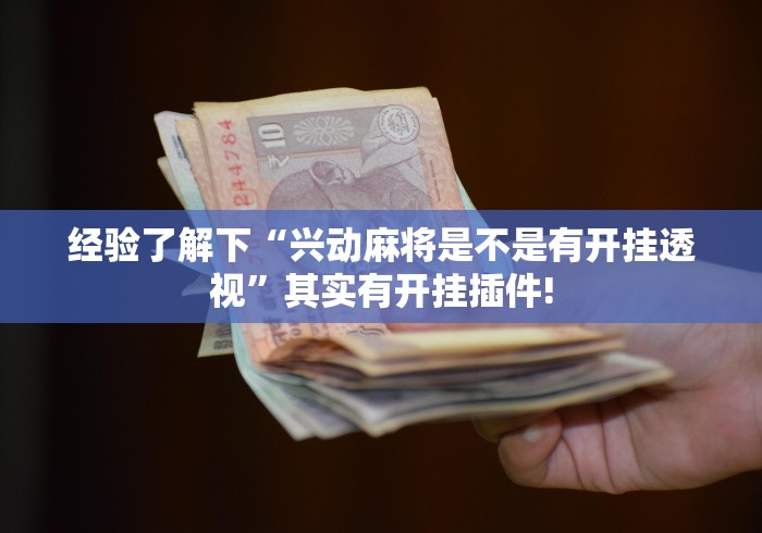 经验了解下“兴动麻将是不是有开挂透视”其实有开挂插件!