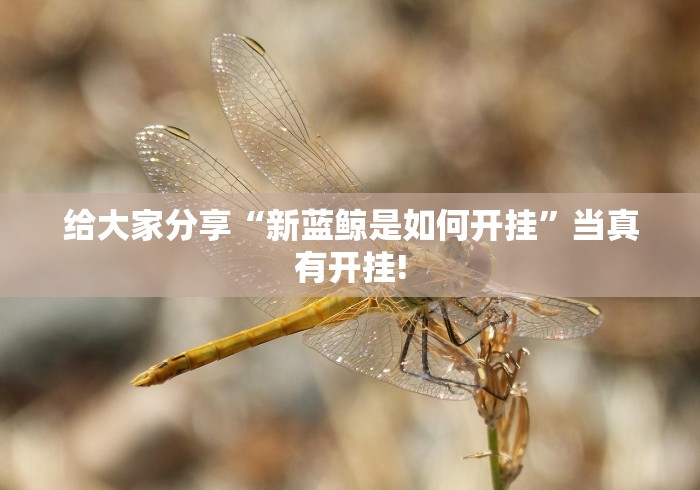 给大家分享“新蓝鲸是如何开挂”当真有开挂!