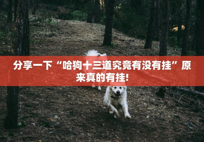分享一下“哈狗十三道究竟有没有挂”原来真的有挂!