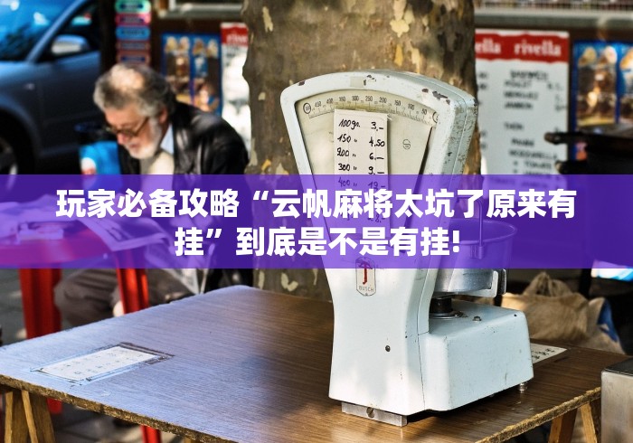 玩家必备攻略“云帆麻将太坑了原来有挂”到底是不是有挂!