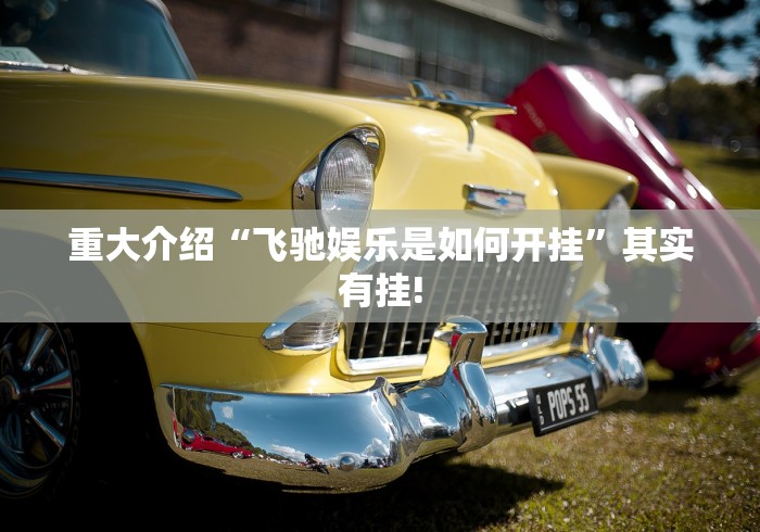 重大介绍“飞驰娱乐是如何开挂”其实有挂!