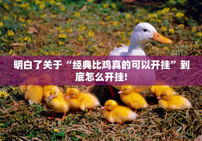 明白了关于“经典比鸡真的可以开挂”到底怎么开挂!