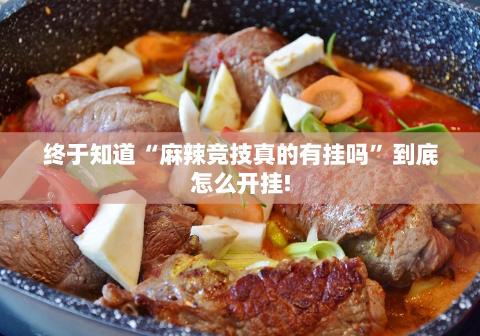 终于知道“麻辣竞技真的有挂吗”到底怎么开挂!