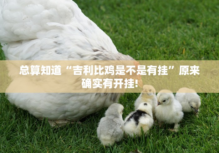 总算知道“吉利比鸡是不是有挂”原来确实有开挂!