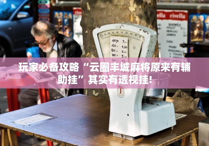 玩家必备攻略“云圈丰城麻将原来有辅助挂”其实有透视挂!