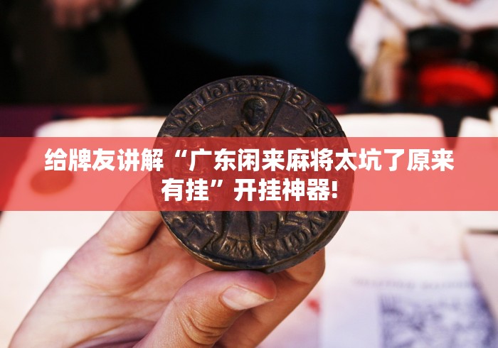 给牌友讲解“广东闲来麻将太坑了原来有挂”开挂神器!