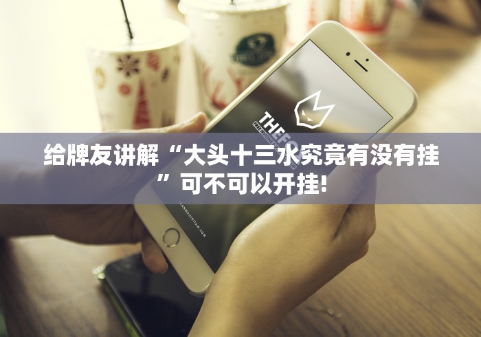 给牌友讲解“大头十三水究竟有没有挂”可不可以开挂!