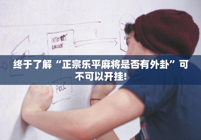 终于了解“正宗乐平麻将是否有外卦”可不可以开挂! 终于了解“正宗乐平麻将是否有外卦”可不可以开挂!