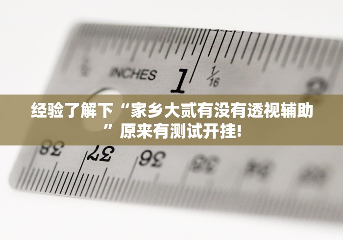 经验了解下“家乡大贰有没有透视辅助”原来有测试开挂!