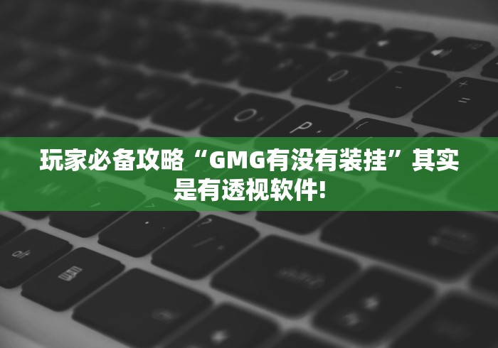玩家必备攻略“GMG有没有装挂”其实是有透视软件! 玩家必备攻略“GMG有没有装挂”其实是有透视软件!