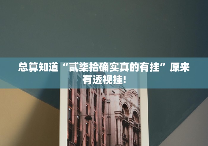 总算知道“贰柒拾确实真的有挂”原来有透视挂! 总算知道“贰柒拾确实真的有挂”原来有透视挂!