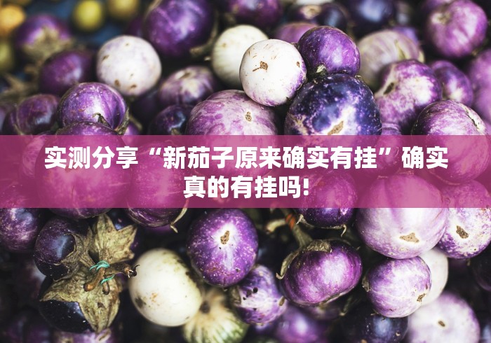 实测分享“新茄子原来确实有挂”确实真的有挂吗! 实测分享“新茄子原来确实有挂”确实真的有挂吗!