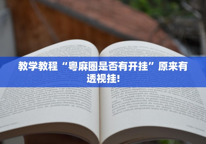 教学教程“粤麻圈是否有开挂”原来有透视挂!