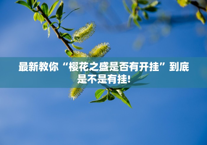 最新教你“樱花之盛是否有开挂”到底是不是有挂! 最新教你“樱花之盛是否有开挂”到底是不是有挂!