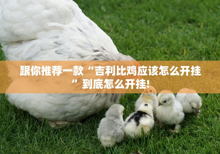 跟你推荐一款“吉利比鸡应该怎么开挂”到底怎么开挂! 跟你推荐一款“吉利比鸡应该怎么开挂”到底怎么开挂!