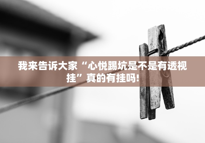 我来告诉大家“心悦踢坑是不是有透视挂”真的有挂吗!